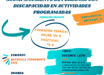 Formación en «Acompañamiento a Personas con Discapacidad en Actividades Programadas»