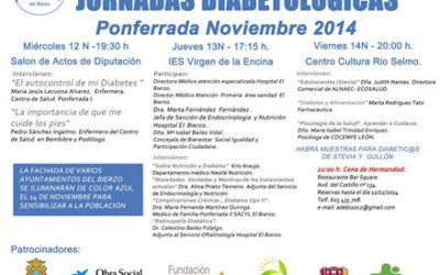 Jornadas Diabetológicas ADEBI 2014