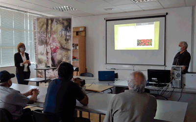 Taller de Cocina Mediterranea